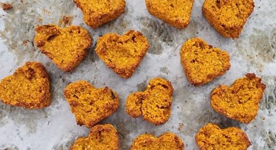 dog cookies